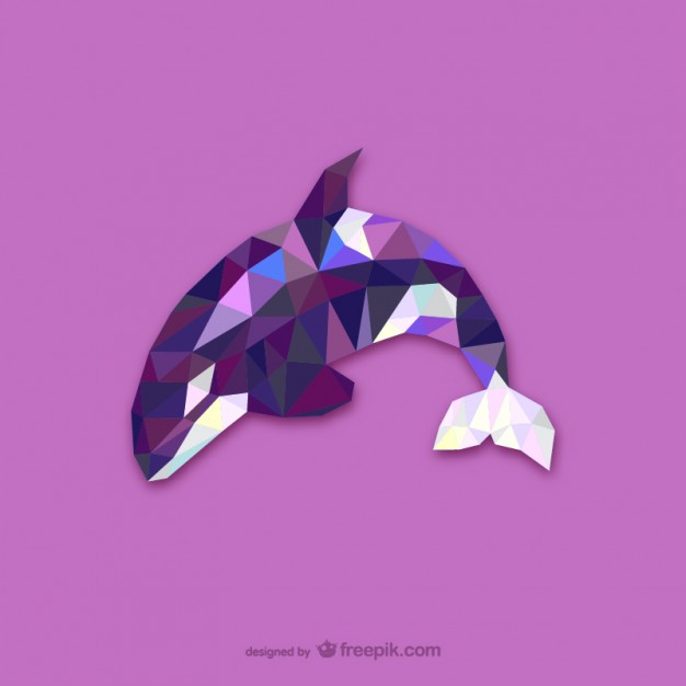 626x626 Triangle Orca Whale Design Vector Free Download