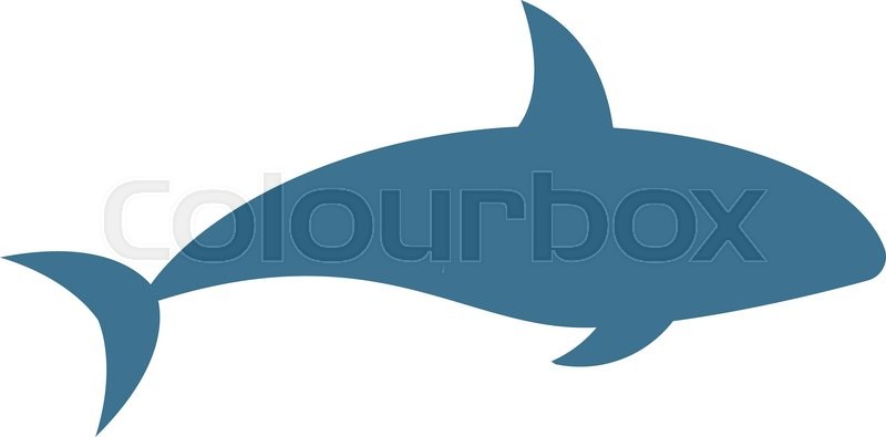Killer Whale Orcinus Orca Vector Stock Vector Colourbox 800x395 Killer Whale Orcinus Orca Vector Stock Vector Colourbox