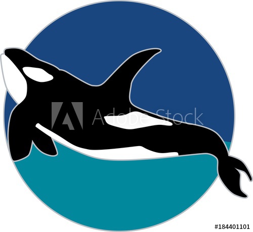Orca Vector Illustration 500x459 Orca Vector Illustration