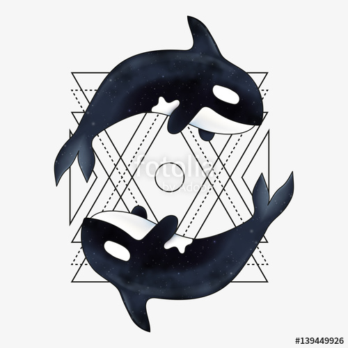 Orca Vector Illustration Marine Mammal Killer Whale 500x500 Orca Vector Illustration Marine Mammal Killer Whale