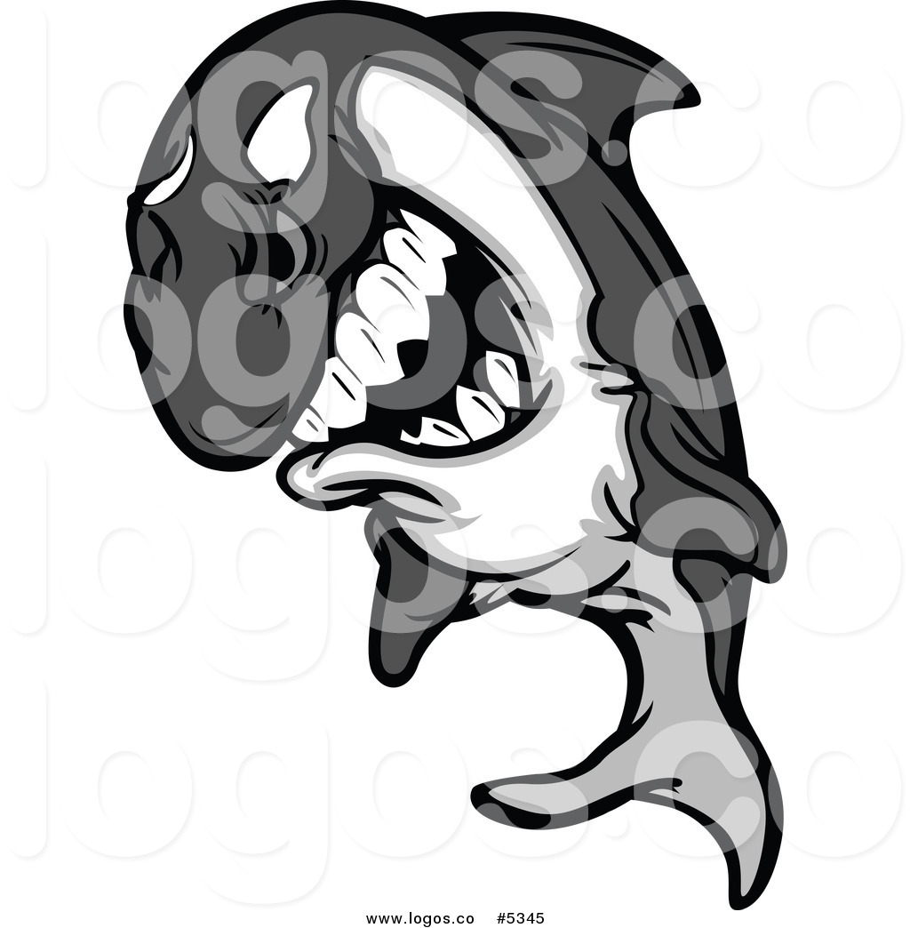 1024x1044 Royalty Free Vector Of A Logo Of A Killer Whale Orca Leaping