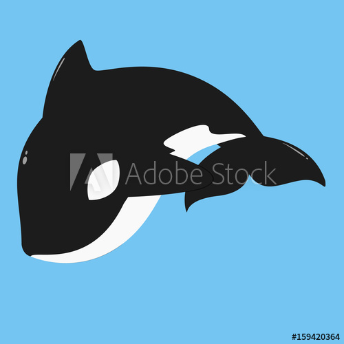 Killer Whale, Orca Vector Illustration On Blue Background 500x500 Killer Whale, Orca Vector Illustration On Blue Background
