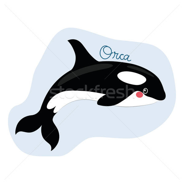 600x600 Funny Killer Whale Orca Vector Illustration Kakigori