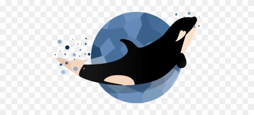 Happy Baby Orca Illustration Vector Whale Orca Baby 880x398 Happy Baby Orca Illustration Vector Whale Orca Baby