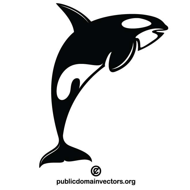 Killer Whale 660x660 Killer Whale