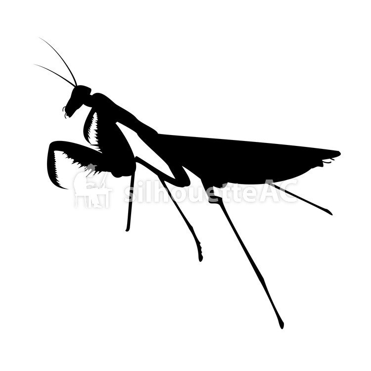 750x750 Free Silhouette Vector Orchestra Icon