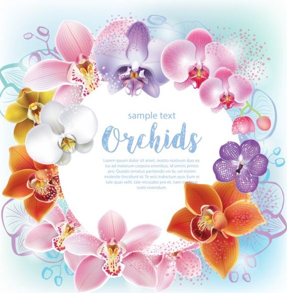 Orchid Flower Vector