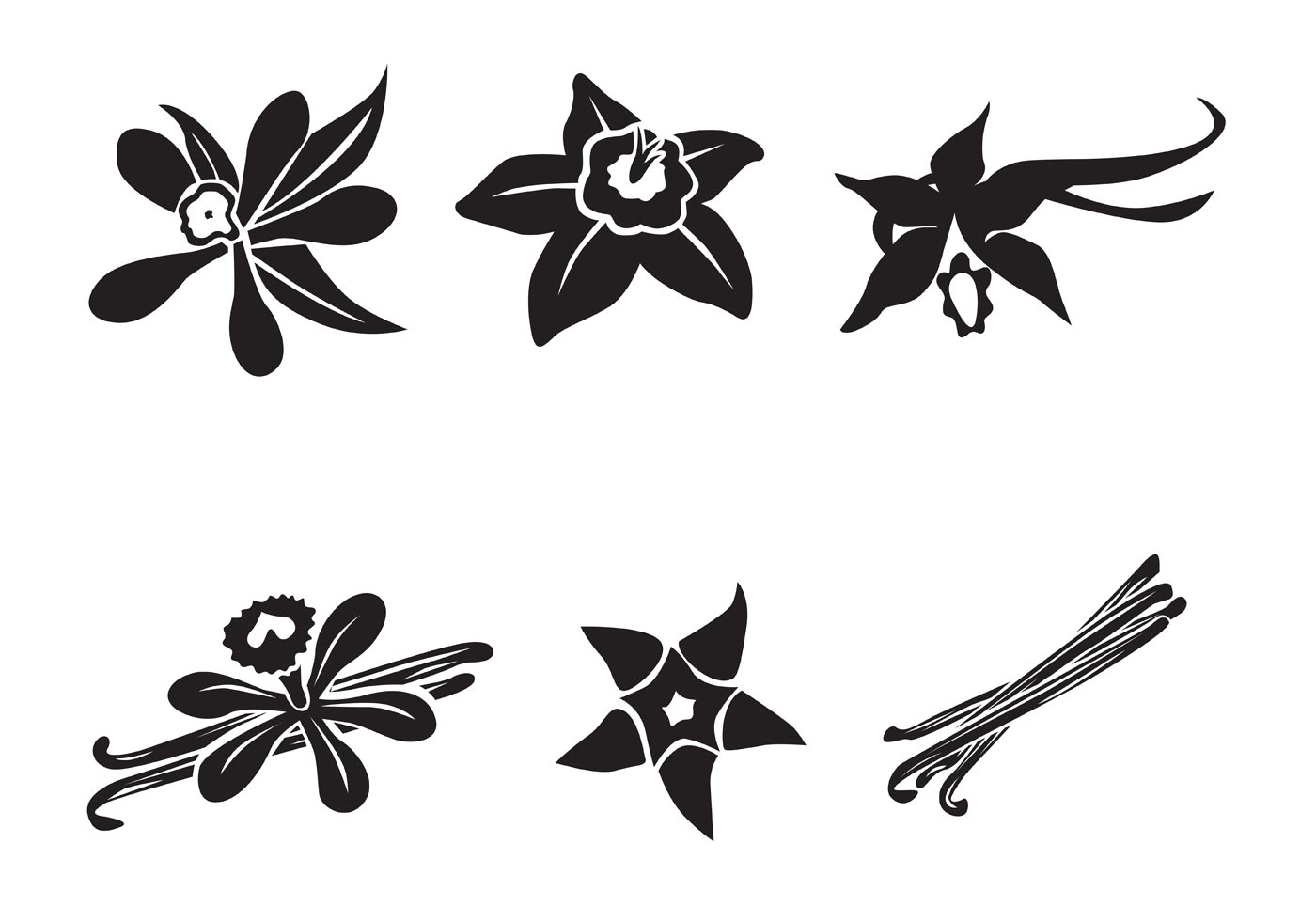 1400x980 Orchid Flower Free Vector Art