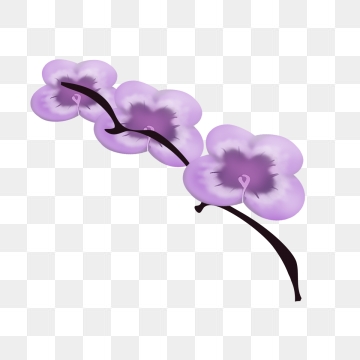 360x360 Orchid Flower Png, Vector, And Clipart With Transparent
