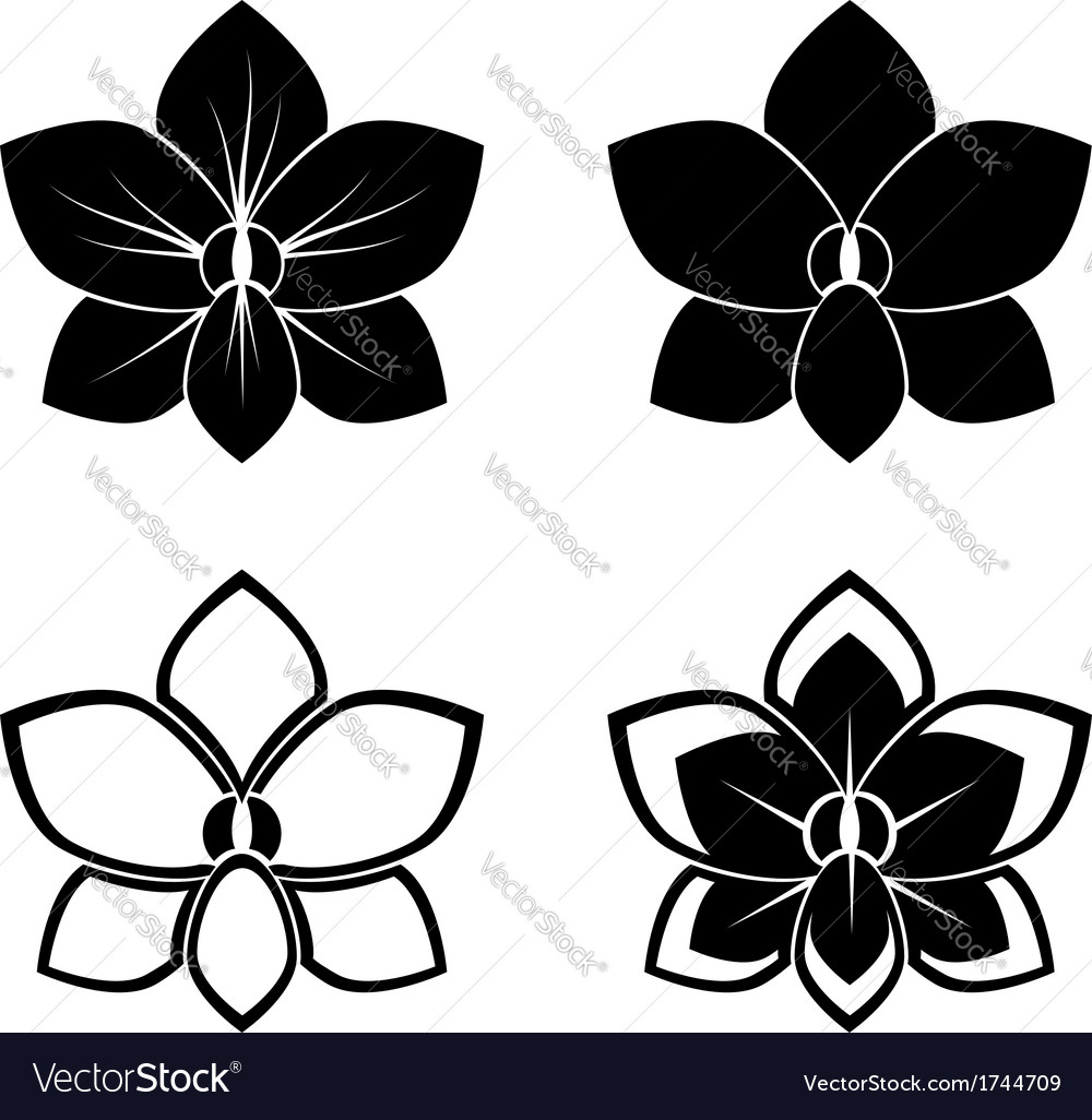 1000x1026 Orchid Flower Silhouette