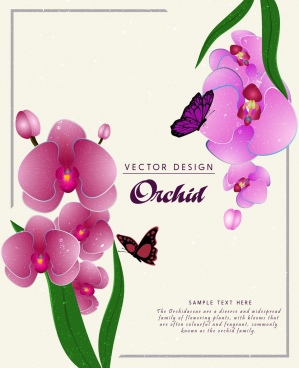 299x368 Orchid Free Vector Download