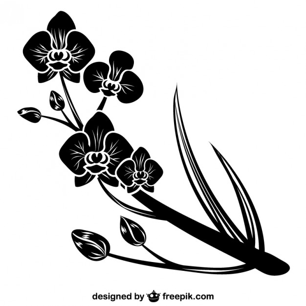 626x626 Black Orchid Silhouette Vector Free Download