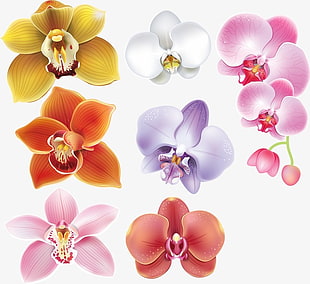 Hand Painted Orchid Pattern Background Free Graphics 310x284 Hand Painted Orchid Pattern Background Free Graphics