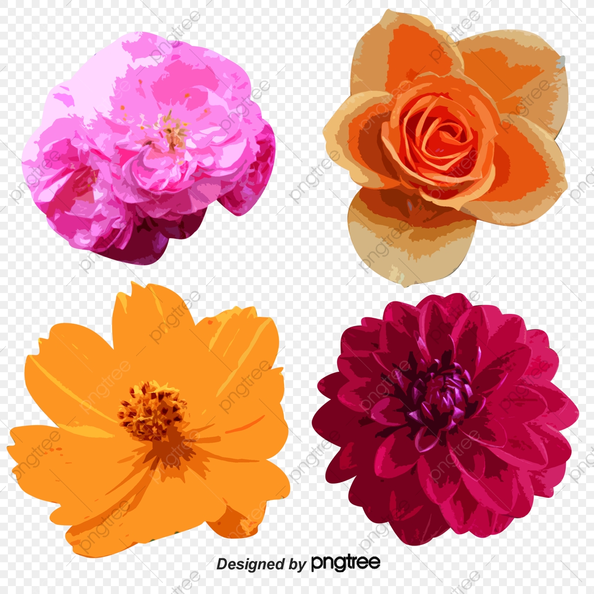 Orchid Vector Material, Pink, Orchid, Flowers Png And Vector 1200x1200 Orchid Vector Material, Pink, Orchid, Flowers Png And Vector