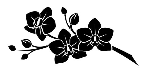 Orchid Vector Stock Photos And Royalty Free Images, Vectors 480x240 Orchid Vector Stock Photos And Royalty Free Images, Vectors
