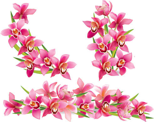 Pink Orchids Design Vector Free Vector In Encapsulated Postscript 492x392 Pink Orchids Design Vector Free Vector In Encapsulated Postscript