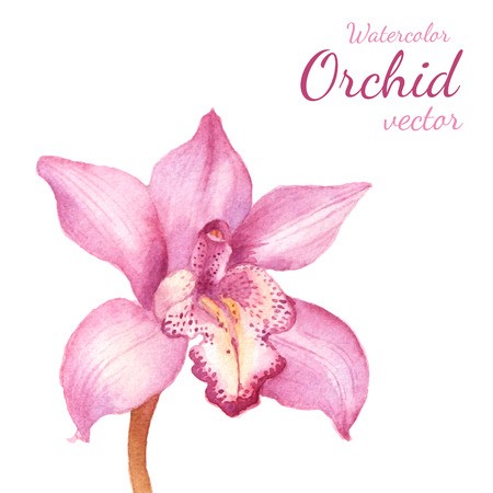 Purple Orchid Vector Watercolor Draing Floral Background Royalty 450x450 Purple Orchid Vector Watercolor Draing Floral Background Royalty