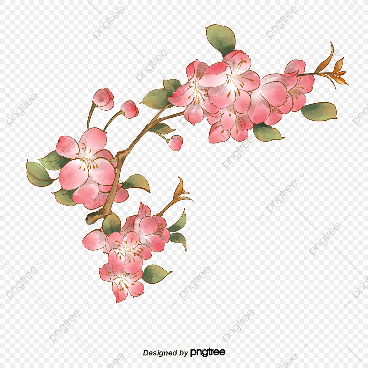 Vector Cartoon Orchids, Cartoon Orchid, Orchid, Vector Orchid Png 1200x1200 Vector Cartoon Orchids, Cartoon Orchid, Orchid, Vector Orchid Png
