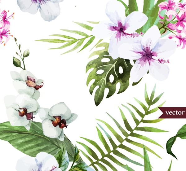 White Hibiscus And Butterfly Orchid Vector Graphics My Free 600x552 White Hibiscus And Butterfly Orchid Vector Graphics My Free