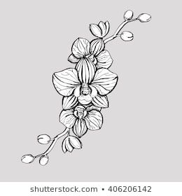 Hand Drawn Ink Floral Ornament With Flowers Orchid Vector 260x280 Hand Drawn Ink Floral Ornament With Flowers Orchid Vector