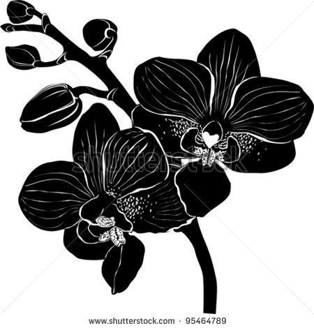 Orchid Silhouette Vector Free 450x470 Orchid Silhouette Vector Free