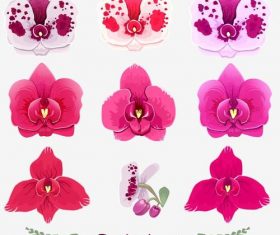 Orchid Vector 280x235 Orchid Vector