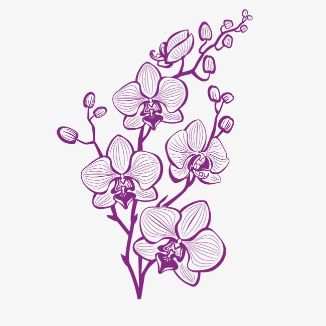 Hand Painted Purple Orchid Vector, Plant, Hand Painted Plants 650x651 Hand Painted Purple Orchid Vector, Plant, Hand Painted Plants