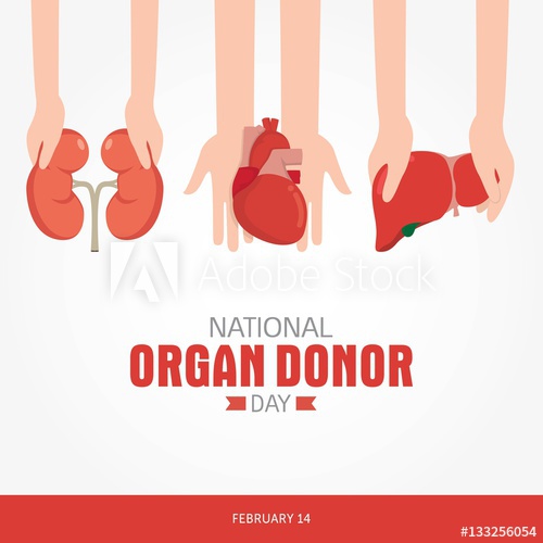 500x500 National Organ Donor Day Vector Illustration