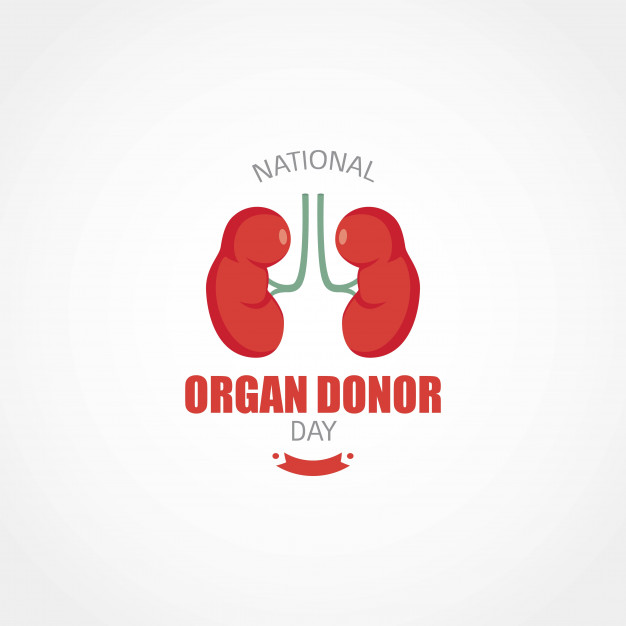 626x626 National Organ Donor Day Vector Premium Download