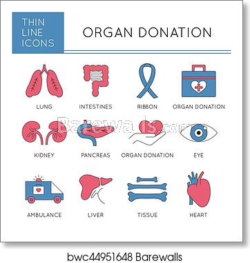 362x382 Organ Donation Icon Set, Art Print Barewalls Posters Prints