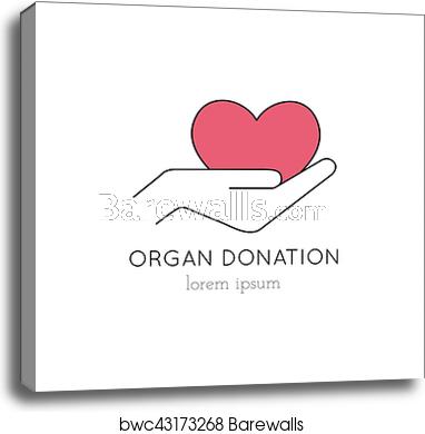 382x390 Organ Donation Line Icon, Canvas Print Barewalls Posters
