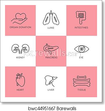 362x382 Organ Transplantation Icon Set, Art Print Barewalls Posters