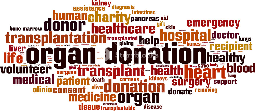 1000x435 Organ Donation Word Cloud Concept Vector Illustration Royalty