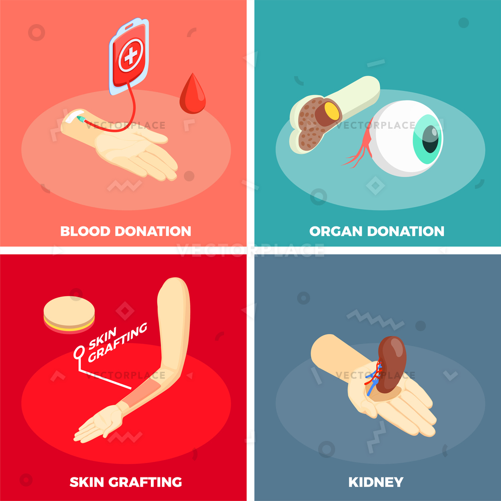 1000x1000 Transplantation Design Concept Organ Donation Vector
