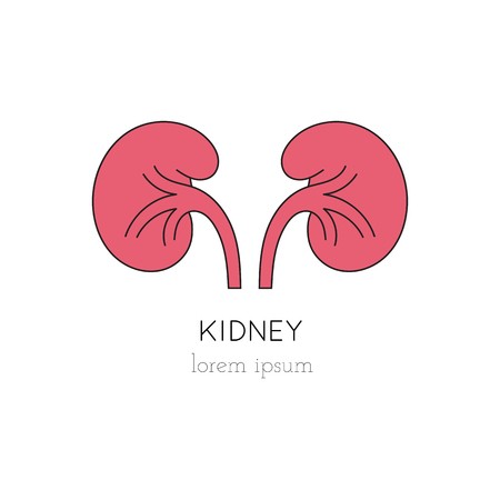450x450 Vector Kidney Thin Line Icon, Logo Template Illustration Part