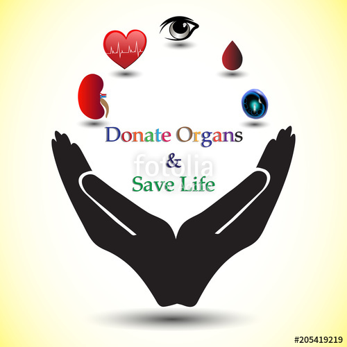 500x500 Concept Of Donating Organs To A Living Recipient, Concept