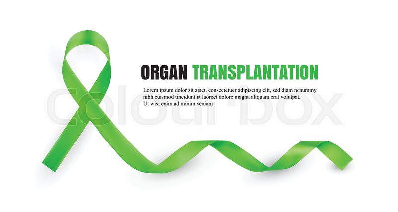 800x427 Green Organ Donation Awareness Stock Vector Colourbox