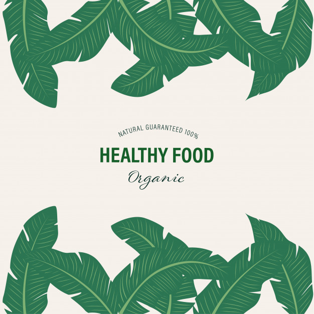 626x626 Organic And Natural Hand Drawn Painted Watercolor Leaves