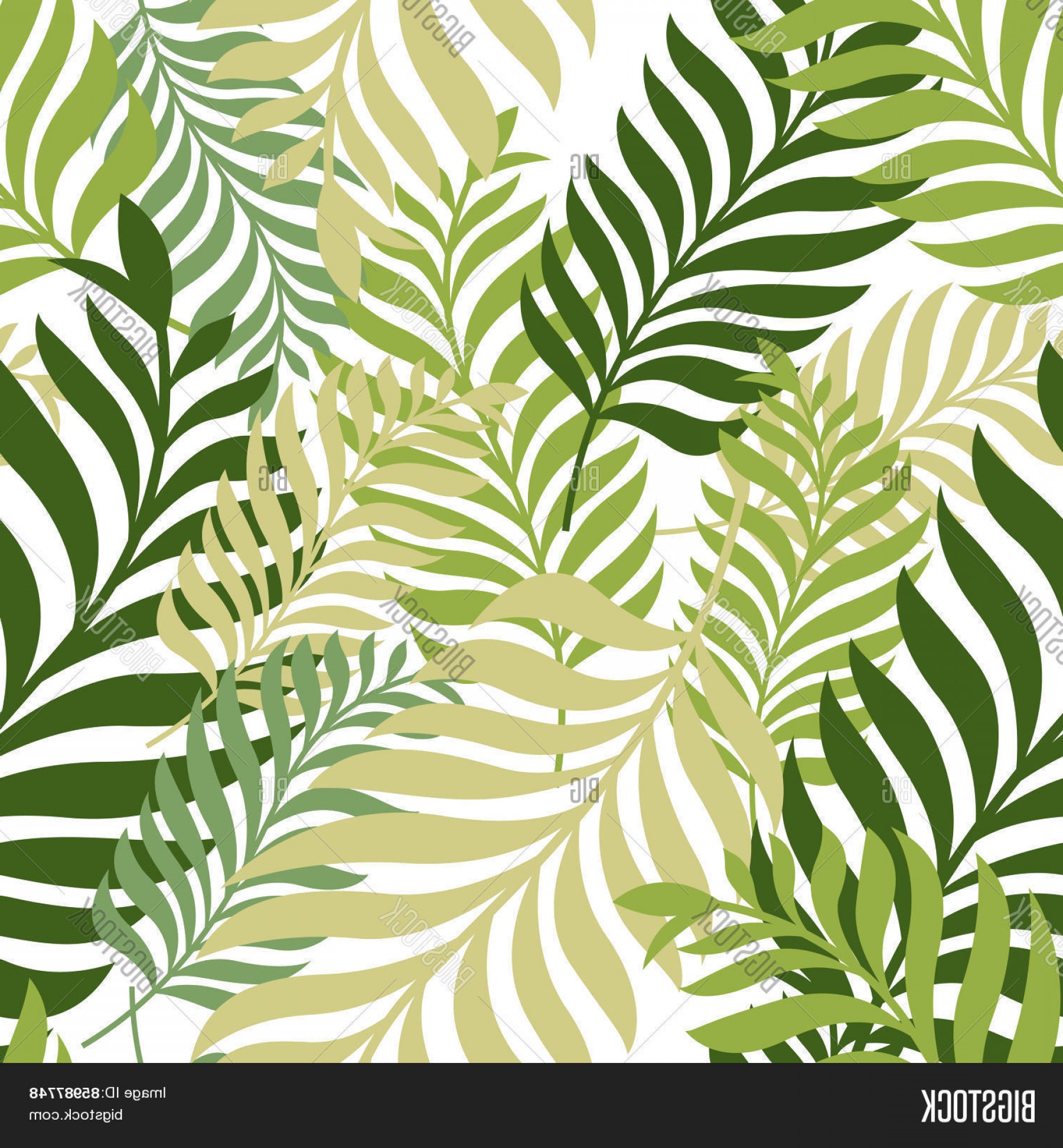 1800x1944 Stock Vector Green Palm Tree Leaves Vector Seamless Pattern Nature