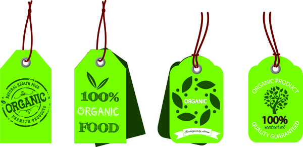 600x291 Vector Food Organic Background Free Vector Download