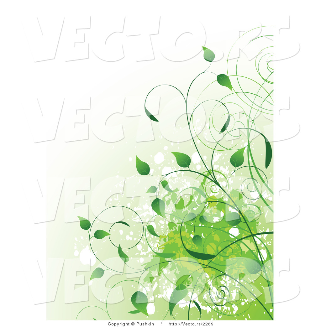 1024x1044 Vector Of Green Organic Vines With Splatters