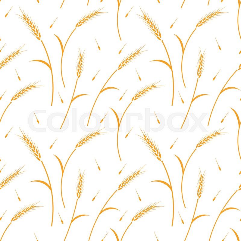 800x800 Whole Grain, Natural, Organic Stock Vector Colourbox