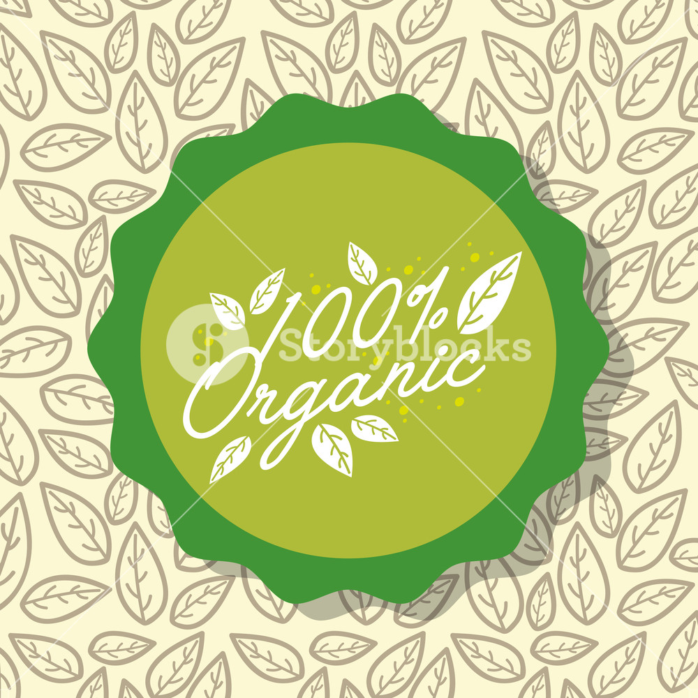 1000x1000 Food Organic Natural Leaves Background Vector Illustration