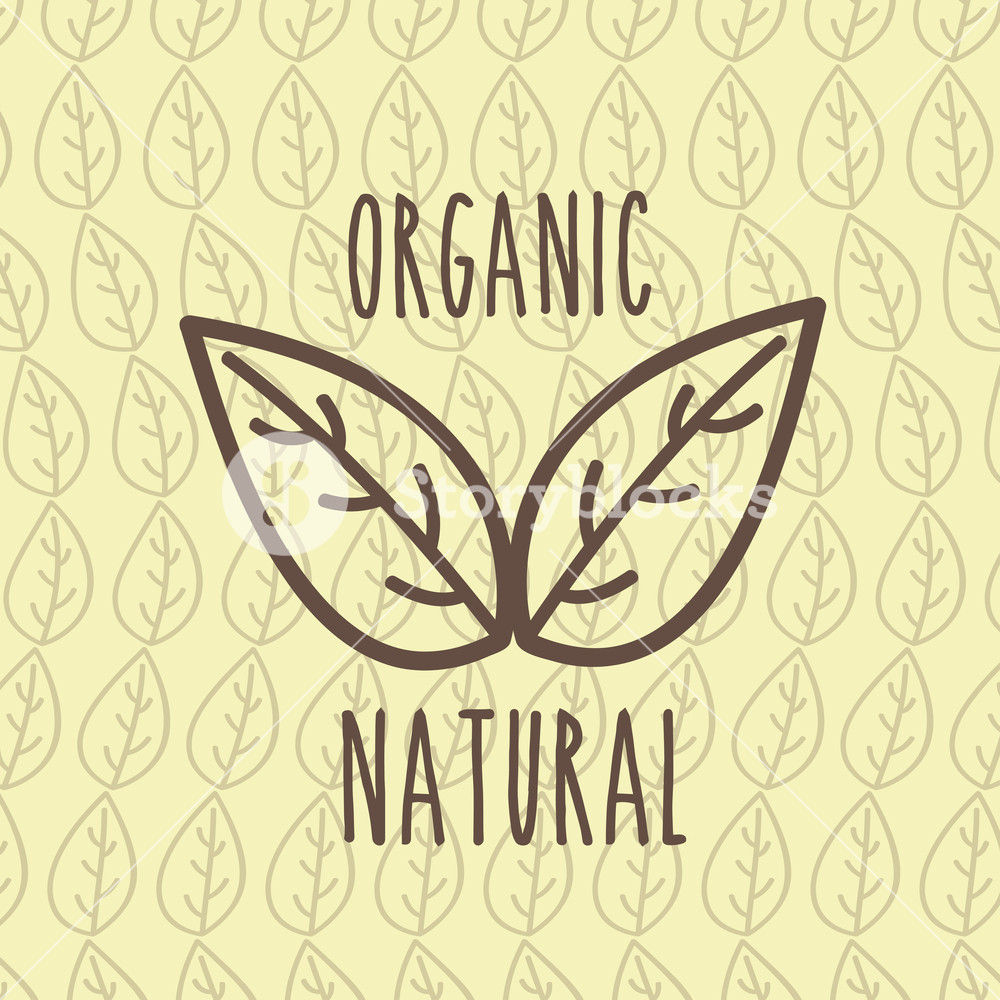 1000x1000 Leaves Organic Natural Foliage Background Vector Illustration