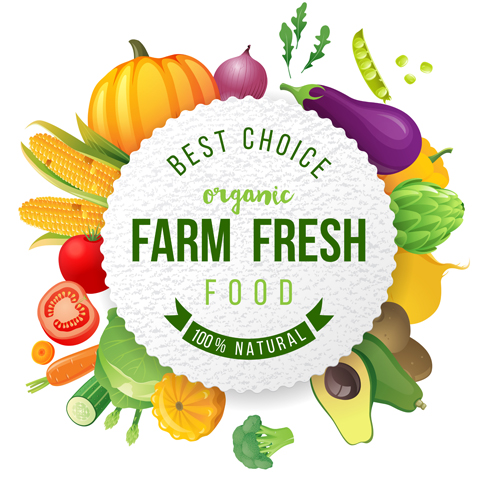 500x500 Farm Organic Fruit Background Vector Free Download
