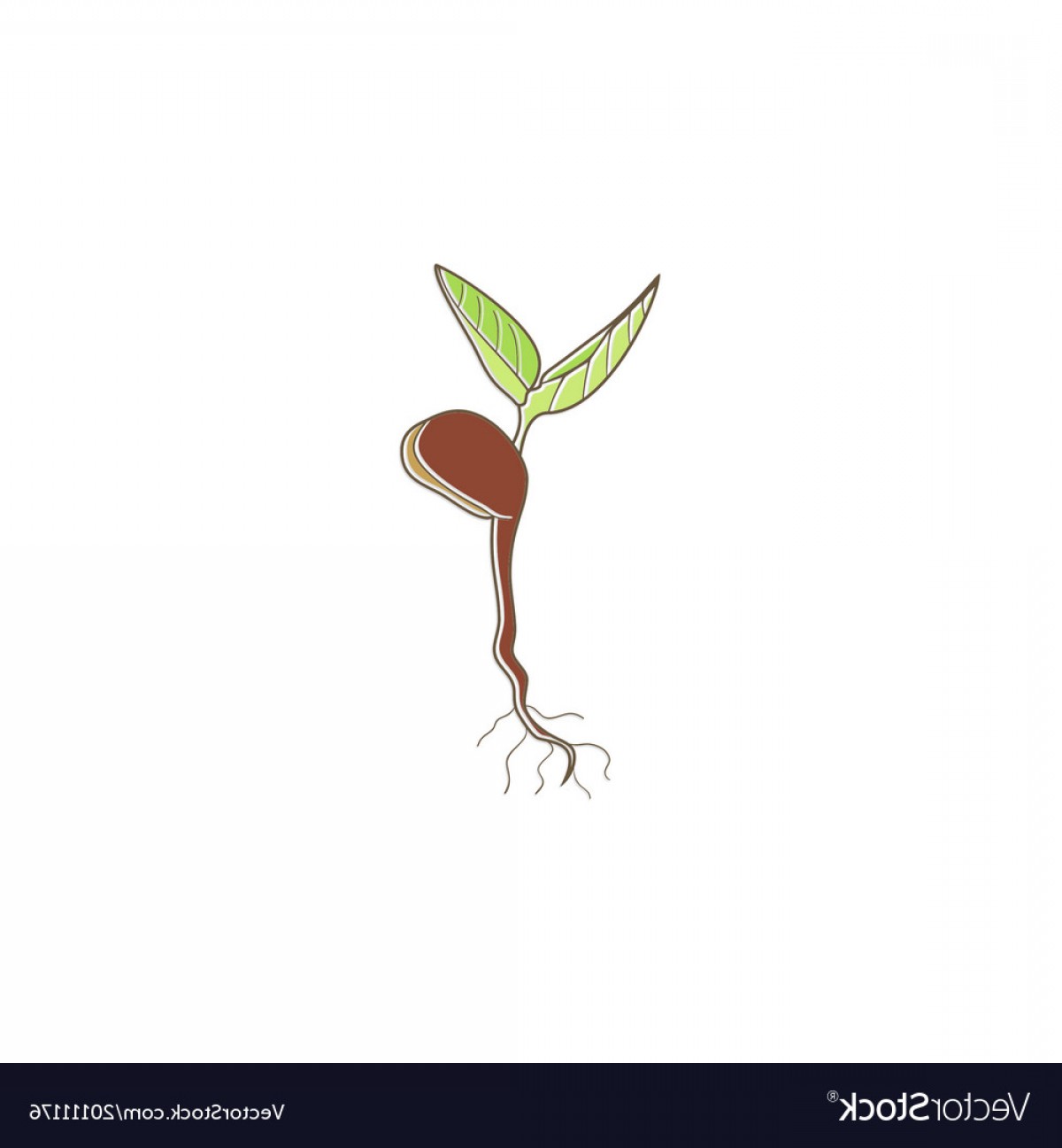 1200x1296 Seed Plant Tree Organic Logo Vector Geekchicpro
