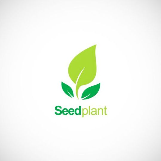 539x539 Seed Plant Green Organic Logo Vector Free Download
