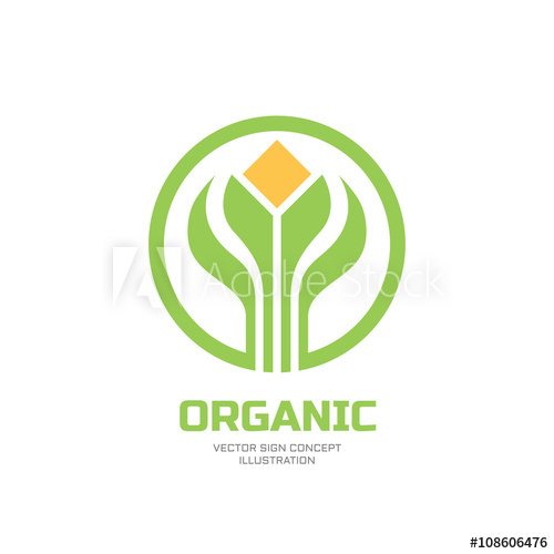 500x500 Sprouts And Leaves