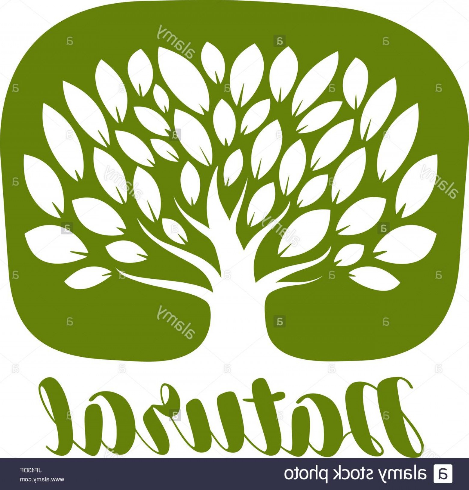 1560x1628 Stock Photo Tree With Leaves Label Or Logo Natural Organic Icon