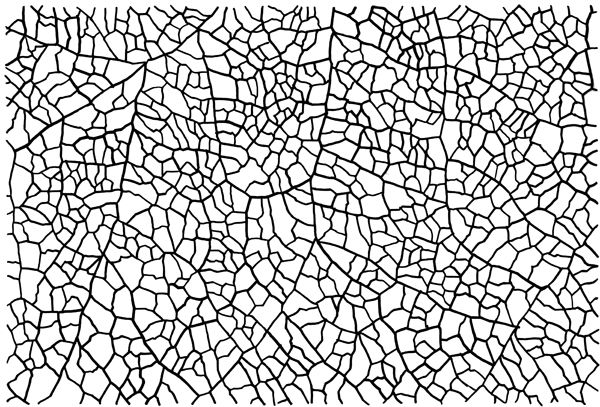 600x407 Organic Pattern Vector